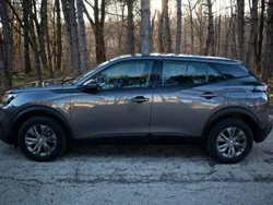 Grau Gebraucht 2020 Peugeot 2008 Active SUV | 14.200 € (Teuer)