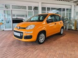 Orange Gebraucht 2019 Fiat Panda Easy Limousine | 9.500 € (Fairer Preis)