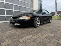 Schwarz Gebraucht 1998 Ford Mustang Coupé | 19.000 €