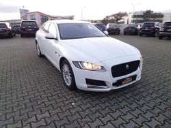 Fuji white Gebraucht 2019 Jaguar XF Pure Limousine | 21.800 € (Etwas zu teuer)