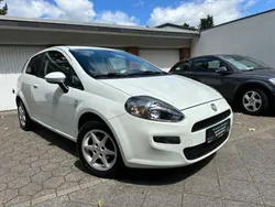 Weiß Gebraucht 2012 Fiat Punto Easy Kleinwagen | 4.250 € (Fairer Preis)