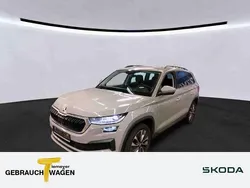 Stahlgrau Gebraucht 2022 Skoda Kodiaq Ambition SUV | 31.020 € (Guter Preis)