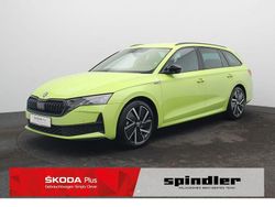 Mamba grün Gebraucht 2025 Skoda Octavia SportLine Kombi | 33.980 € (Fairer Preis)