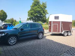 Grün Gebraucht 2010 VW Tiguan SUV | 12.350 € (Teuer)