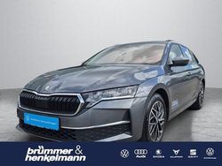 Gebraucht 2024 Skoda Octavia Selection Kombi | 31.950 € (Fairer Preis)