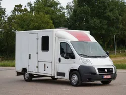Weiß Gebraucht 2014 Fiat Ducato Van | 10.490 € (Teuer)