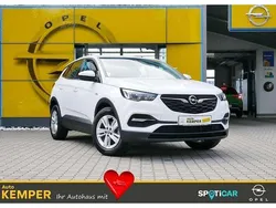 Gebraucht 2021 Opel Grandland X Edition SUV | 22.990 € (Etwas zu teuer)