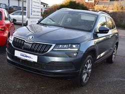 Grau Gebraucht 2021 Skoda Karoq Clever SUV | 21.490 € (Guter Preis)