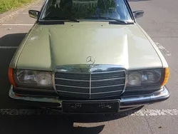Grün Gebraucht 1983 Mercedes 230 Coupé | 20.499 €