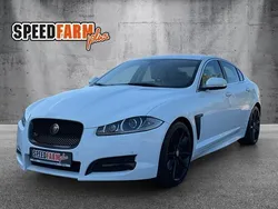 Weiß Gebraucht 2014 Jaguar XF Luxury Limousine | 11.999 € (Etwas zu teuer)