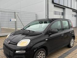 Schwarz Gebraucht 2018 Fiat Panda Limousine | 4.999 € (Fairer Preis)