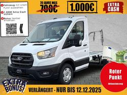 Frozen white Neu 2025 Ford Transit Trend Limousine | 38.437 € (Guter Preis)
