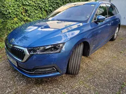 Blau Gebraucht 2020 Skoda Octavia First Edition Kombi | 19.500 € (Superpreis)