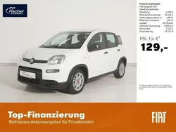 Weiß Gebraucht 2023 Fiat Panda Kleinwagen | 11.980 € (Fairer Preis)