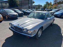 Grau Gebraucht 1984 Jaguar XJ Limousine | 2.999 €