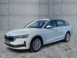 Weiß Gebraucht 2025 Skoda Octavia Selection Kombi | 37.570 € (Fairer Preis)