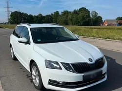 Weiß Gebraucht 2018 Skoda Octavia Kombi | 8.699 € (Guter Preis)
