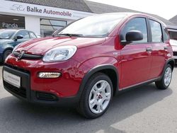 Rot Gebraucht 2024 Fiat Panda Kleinwagen | 13.990 € (Etwas zu teuer)