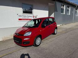 Passione rot Neu 2025 Fiat Panda Kleinwagen | 15.990 € (Fairer Preis)