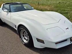Weiß Gebraucht 1981 Corvette C3 Cabrio | 13.950 €