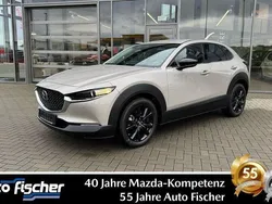 Beige Neu 2025 Mazda CX-30 Homura-Line SUV | 30.990 €