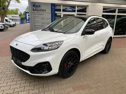 Weiß (frostweiß) Neu 2024 Ford Kuga ST-Line X SUV | 29.985 € (Guter Preis)