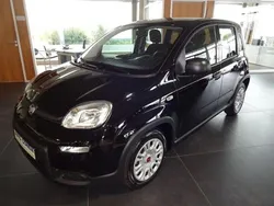 Colore esterno (cinema schwarz Neu 2024 Fiat Panda Kleinwagen | 13.990 € (Guter Preis)
