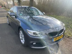 Grau Gebraucht 2014 BMW 420 Executive Coupé | 10.950 € (Fairer Preis)