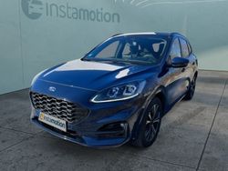 Blau Gebraucht 2020 Ford Kuga ST-Line X SUV | 26.480 € (Teuer)