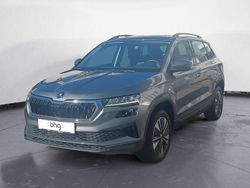 Grau Gebraucht 2023 Skoda Karoq Selection SUV | 31.730 € (Etwas zu teuer)