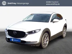 Arctic white Gebraucht 2023 Mazda CX-30 Exclusive SUV | 32.550 € (Teuer)