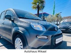 Colore esterno (************** Gebraucht 2022 Fiat Panda Sport Kleinwagen | 10.998 € (Guter Preis)