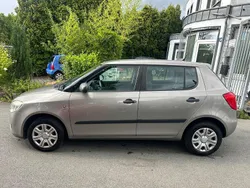 Beige Gebraucht 2008 Skoda Fabia Classic Kleinwagen | 2.999 € (Fairer Preis)