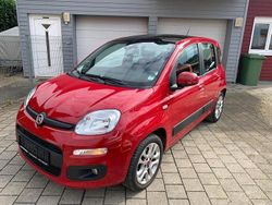 Rot Gebraucht 2013 Fiat Panda Lounge Kleinwagen | 8.900 € (Fairer Preis)