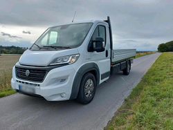 Weiß Gebraucht 2016 Fiat Ducato Van | 12.600 € (Guter Preis)