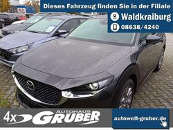 Machine gray Neu 2025 Mazda CX-30 Exclusive SUV | 30.599 €