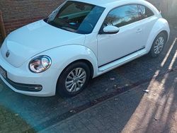 Weiß Gebraucht 2014 VW Beetle Cup Limousine | 8.950 €