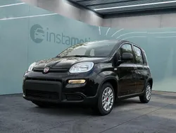 Schwarz Gebraucht 2024 Fiat Panda Kleinwagen | 14.499 € (Fairer Preis)