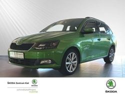 Gruen Gebraucht 2016 Skoda Fabia Joy Kleinwagen | 10.480 € (Teuer)