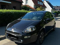 Schwarz Gebraucht 2013 Fiat Punto Kleinwagen | 3.850 € (Guter Preis)