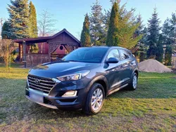 Blau Gebraucht 2019 Hyundai Tucson SUV | 18.500 € (Superpreis)