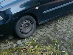 Schwarz Gebraucht 2006 Seat Ibiza Kleinwagen | 300 € (Superpreis)