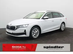 Moonweiss metallic Gebraucht 2024 Skoda Octavia Selection Kombi | 30.480 € (Fairer Preis)