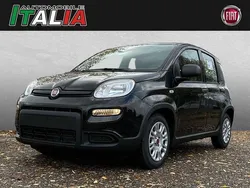 Schwarz Gebraucht 2024 Fiat Panda Kleinwagen | 13.980 € (Fairer Preis)