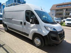 Weiss Gebraucht 2023 Opel Movano | 19.900 € (Superpreis)