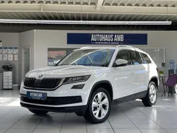 Weiß Gebraucht 2020 Skoda Kodiaq Style SUV | 22.600 € (Guter Preis)