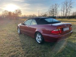 Rot Gebraucht 2000 Mercedes CLK200 Cabrio | 2.700 € (Superpreis)