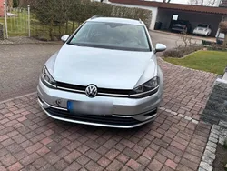 Silber Gebraucht 2019 VW Golf VII Kombi | 16.500 € (Fairer Preis)
