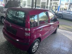 Rot Gebraucht 2012 Fiat Panda Classica Kleinwagen | 3.000 € (Guter Preis)