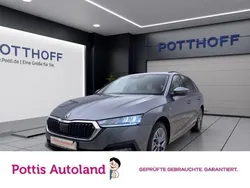 Grau Gebraucht 2023 Skoda Octavia Tour Kombi | 24.977 € (Guter Preis)